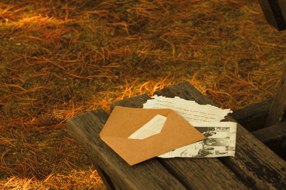 A vintage envelope and letters resting on a wooden bench outdoors in autumn, surrounded by pine needles.