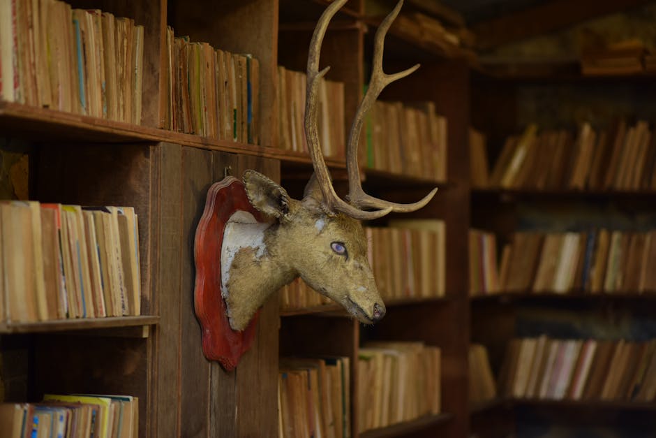 Cozy library setting featuring a deer head mount and wooden bookshelves with vintage books.