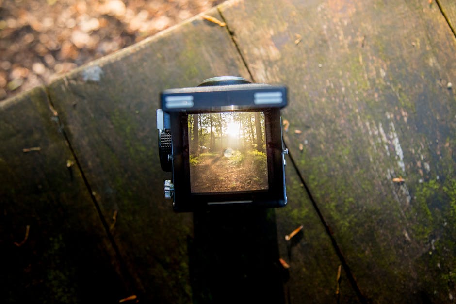 A vintage camera captures a sunlit forest scene through the viewfinder.