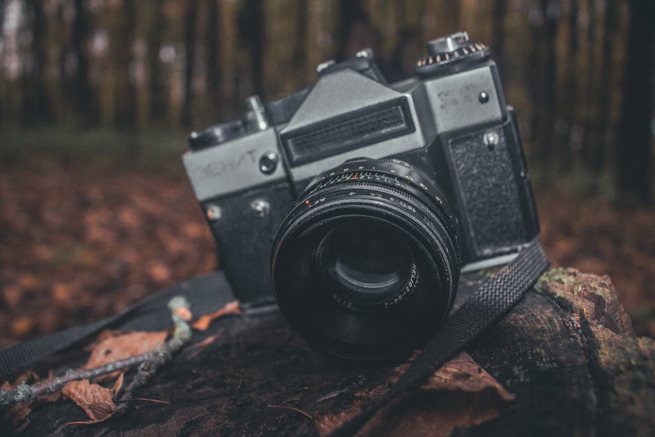 Close-up of a vintage analog camera positioned on a tree stump in a forest setting.